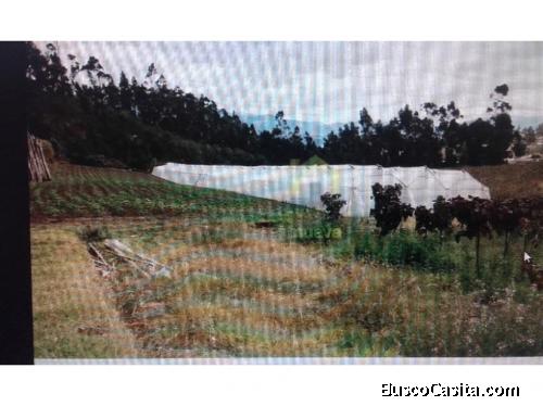 FINCA EN ATUNTAQUI 5 HECTARIAS