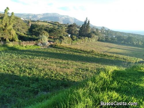 De Oportunidad Terreno Tumbaco Collaqui 