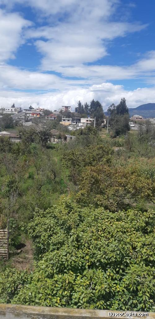 Lostes de Terreno en Venta 