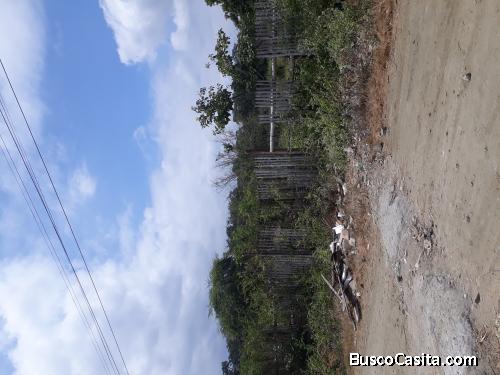 Terreno en bahia de caraquez  cdla roduiguez lara