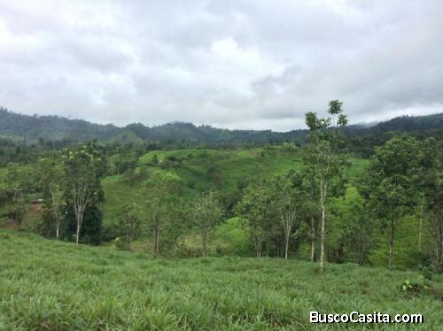 2 lotes de excelente terreno en Nanegal