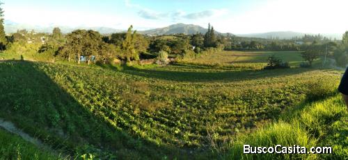 DE OPORTUNIDAD!! Propiedad en Quito valle de Tumbaco 