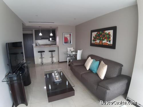 SUITE AMOBLADA EN ALQUILER