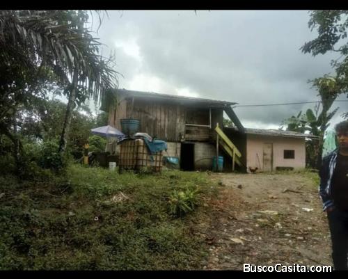 Se vende Finca Ganadera de 19 ha en San Miguel de los Bancos 