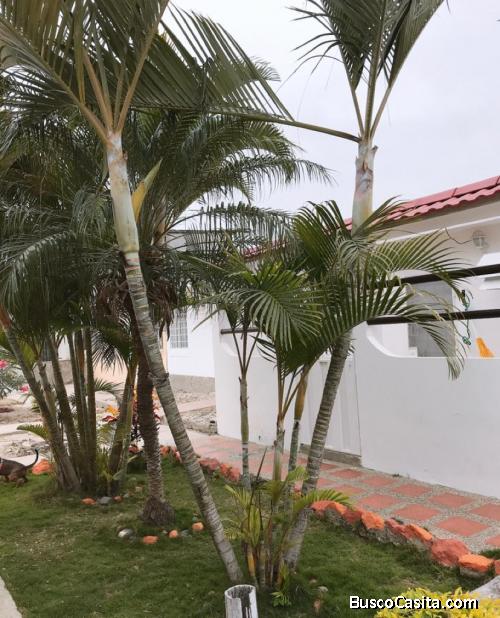 Venta Casa - Santa Elena - Urb. El Delfin