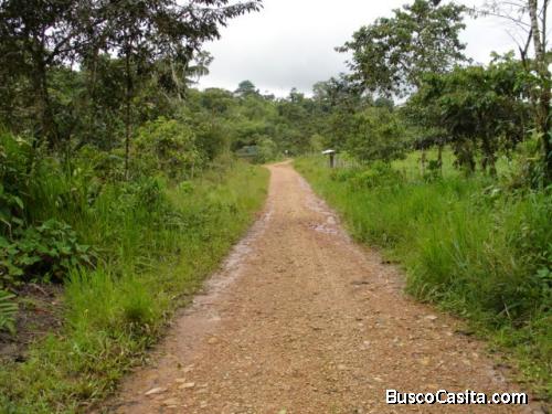 SE VENDE FINCA PARA GANADERIA , PROYECTO TURISTICO O  SIEMBRA 