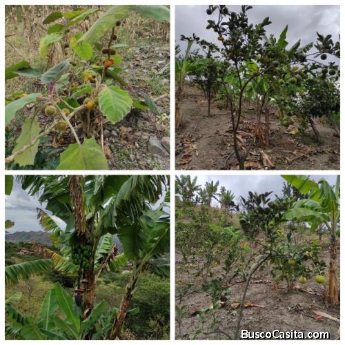 Hermoso Terreno en vilcabamba