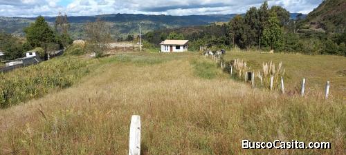 TERRENO PACCHA SECTOR GUAGUALZHUMI 