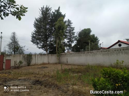 Terreno Gualo Cocotoc