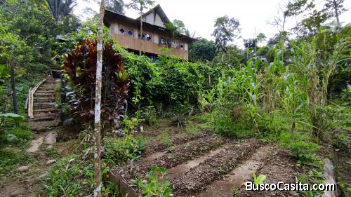 Venta Finca Ecológica Autosostenible Comunitaria Eco Farm for Sale Ecuador