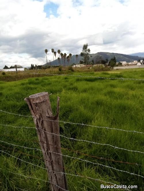 Terreno sector Puente 7