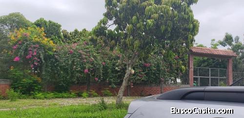 Venta de finca en Balzar, Guayas - terreno para producción y construcción 