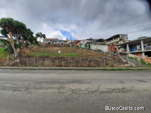 LOTE ESQUINERO DE VENTA EN LA AV. EUGENIO 