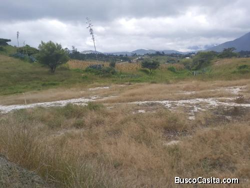 TERRENO DE OPORTUNIDAD EN EL BARRIO PLATEADO