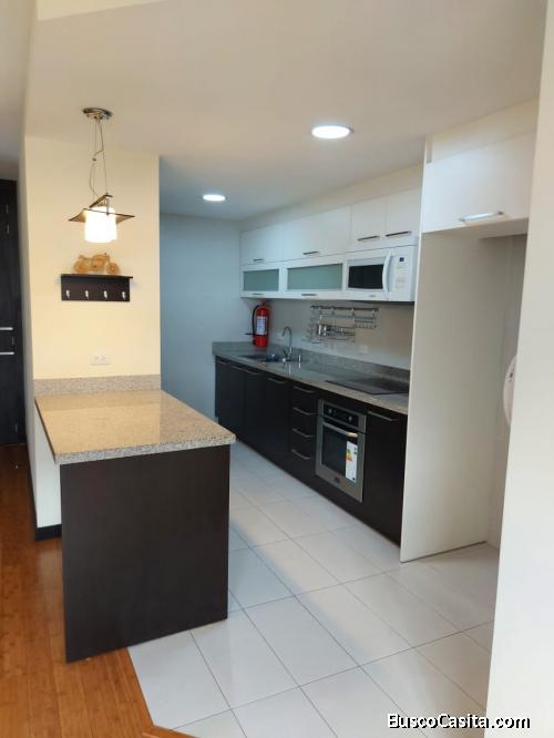 SUITE EN ARRIENDO SECTOR EL BOSQUE