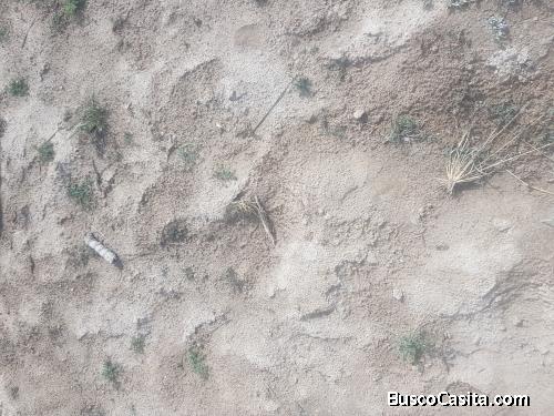 OPORTUNIDAD VENDO TERRENO EN CARCELEN 