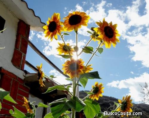 EN VENTA Casa con terreno de 2500mts2 en la montaña de Vilcabamba, Loja, Ecuador.