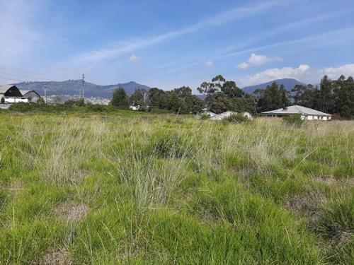 QUITO, TERRENO en venta, esquinero, plano, área 22946m2, frente 340m2, COS 80%, 4 pisos