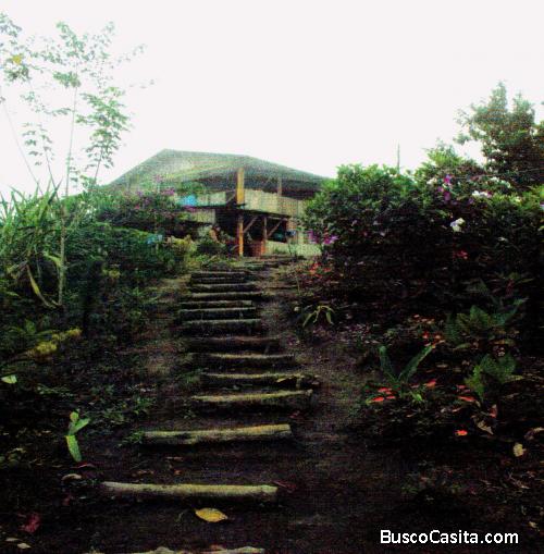 Vendo Hermosa Finca en el Nor Occidente 