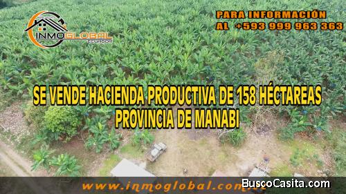 Venta de Plantación DE PLATANO VERDE BARRAGANETE, Cacao, y Varios Sembrios Sector Manga del Cura El 