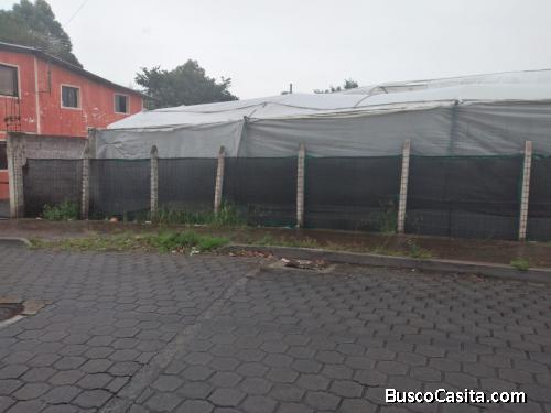 LOTE DE TERRENO EN PUEMBO SECTOR LA GRUTA 