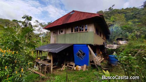 Ecological Self Sustainable Farm, Finca Orgánica