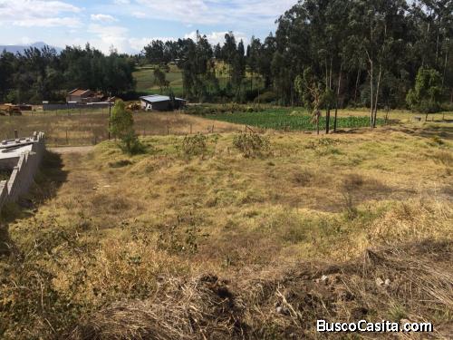 Hermoso Terreno en zona residencial privilegiada