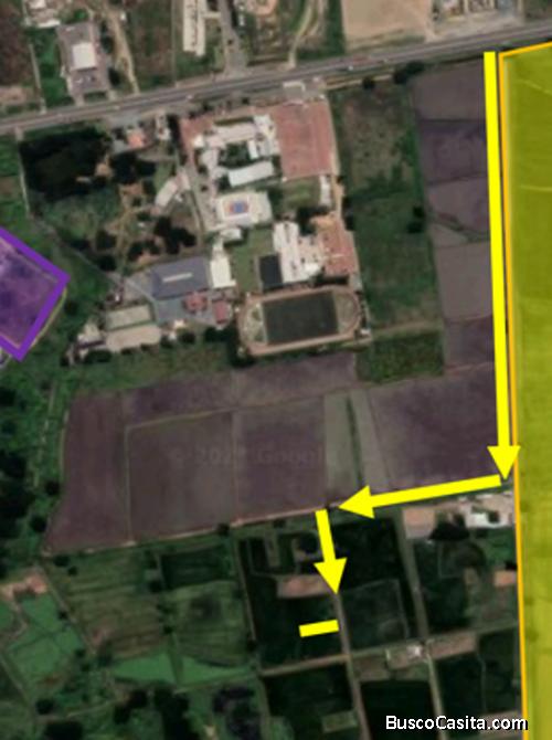 TERRENO LOTIZ HIPODROMO BUIJO