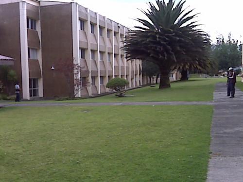 Vendo TERRENO INDUSTRIAL, sector Playa Chica, 3 hectáreas planas, I3