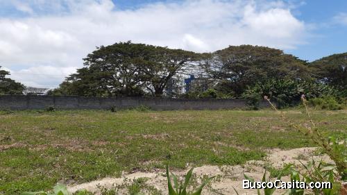 VENDO TERRENO EN  PLAYA ALMENDRO  DE 12 X 37= 444    ACEPTAMOS FINANCIAMIENTO CON LA CFN  Y LA BANCA
