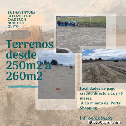 VENTA DE TERRENOS DE 250M2 EN BELLAVISTA DE CALDERON