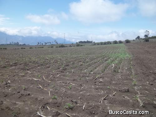 GRAN OPORTUNIDAD PARA INVERTIR