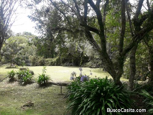 VENDO 1.4HAS DE TERRENO PLANO EN AREA URBANA DE ECUADOR/PICHINCHA/VALLE DE LOS CHILLOS