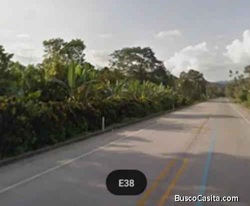 Vendo terreno en la vía Chone-Quito 