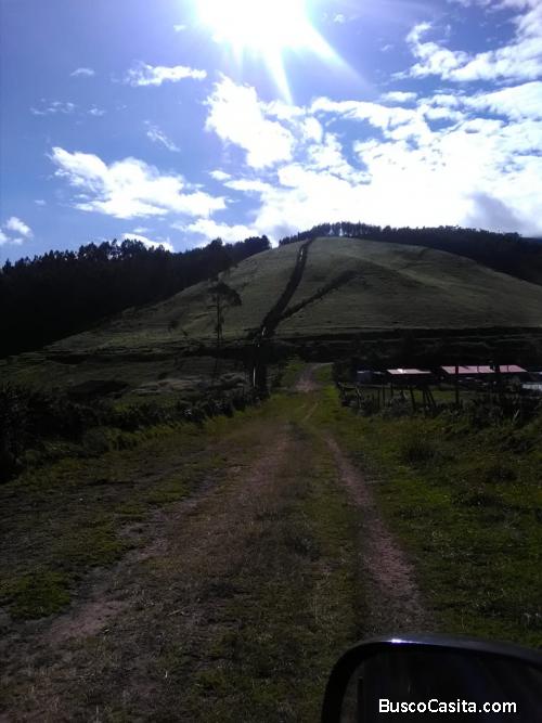 TERRENO DE 28.400 M2. APTO PARA PRODUCCION AGROPECUARIA