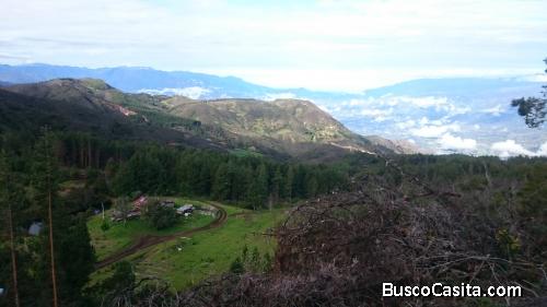  Oportunidad de Inversión 