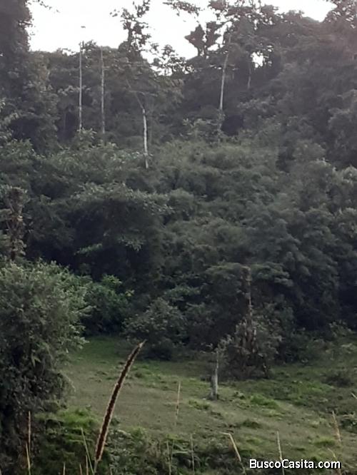 VENDO FINCA EN COSANGA