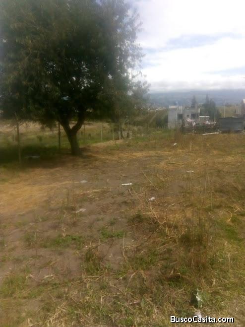 SE VENDE DE OPORTUNIDAD UN TERRENO EN HUACHI GRANDE.
