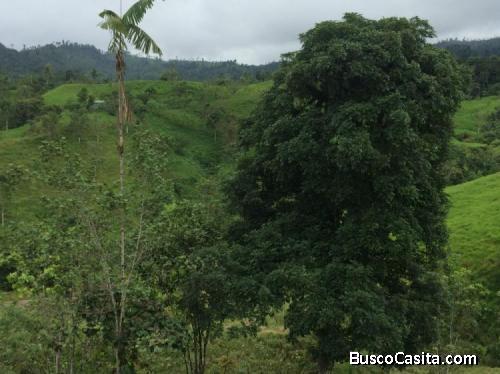 Terreno 90 hectareas