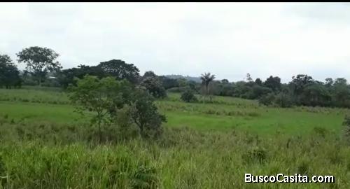 Finca de 32 hectáreas en Ricaurte, Chone