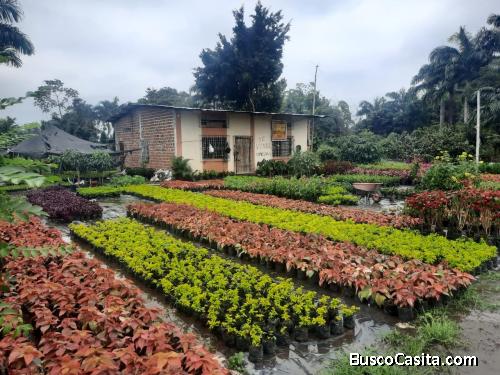 Terreno la parroquia - Roberto Astudillo