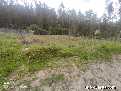 Vendo terreno barato por viaje