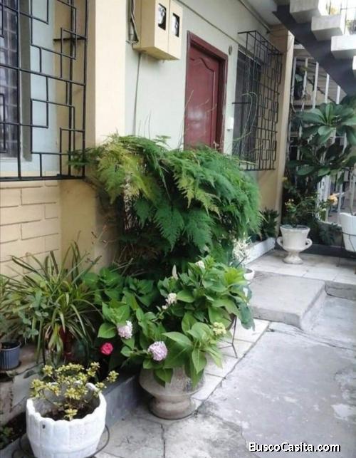 Alquiler de departamento en la Atarazana