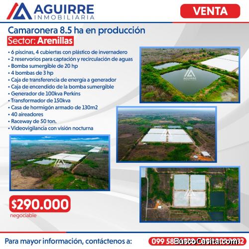 CAMARONERA EN PRODUCCION - A 5MIN DE ARENILLAS 