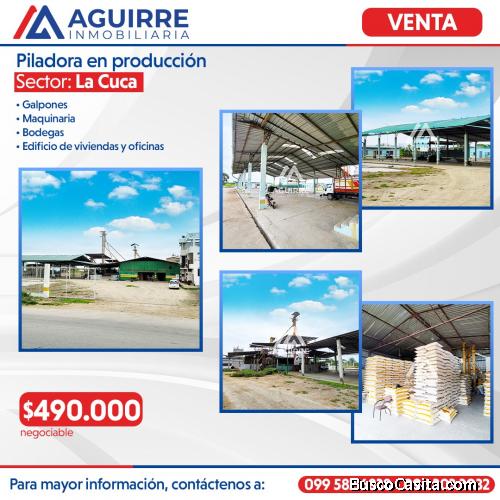 PILADORA EN FUNCIONAMIENTO 60-80  SACOS  X  HORA 