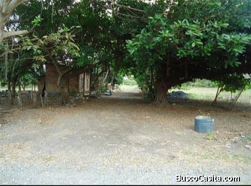 Vendo Finca Por La Autopista Duran Boliche KM 18 A 600 Metros A La Autopista