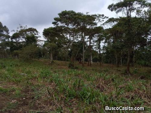 TERRENO JUNTO A LA VIA