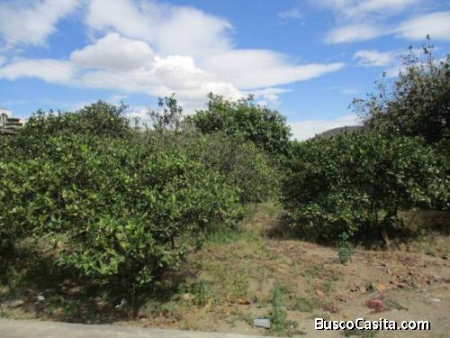 Venta de Terreno en Guayllabamba 