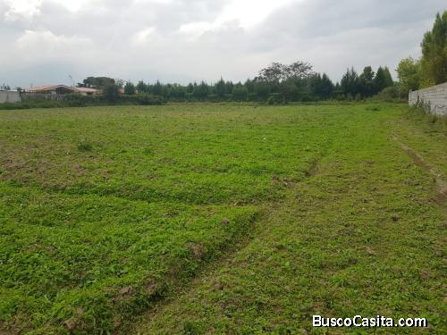 Arriendo Terreno De 6430 M2 En Tababela, Excelente Ubicación