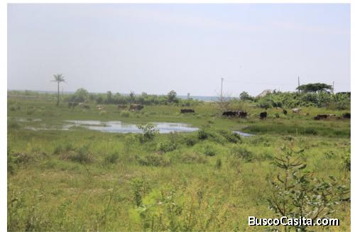 Vendo o permuto terreno en la playa.  For sale or exchange land on the beach. Esmeraldas